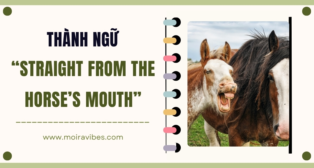 https://tienganhmoiravibes.com/tu-hoc/nguon-goc-thanh-ngu-straight-from-the-horses-mouth-va-vi-du/