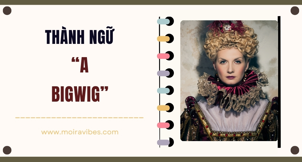 https://tienganhmoiravibes.com/tu-hoc/nguon-goc-thanh-ngu-a-bigwig-va-vi-du/