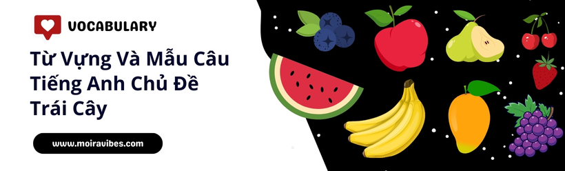 https://tienganhmoiravibes.com/tu-hoc/tu-vung-va-mau-cau-tieng-anh-chu-de-trai-cay/