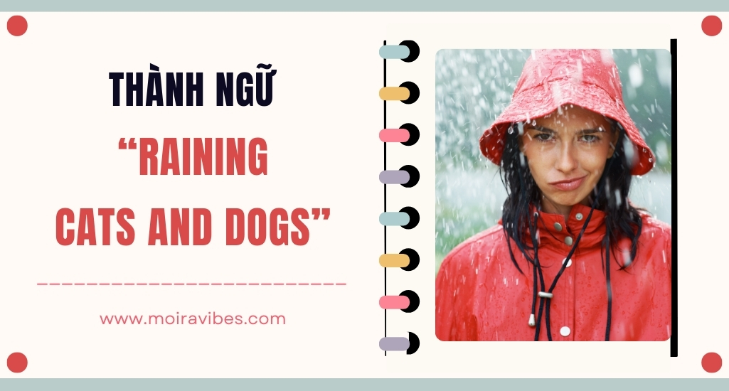 https://tienganhmoiravibes.com/tu-hoc/nguon-goc-thanh-ngu-raining-cats-and-dogs-va-vi-du/