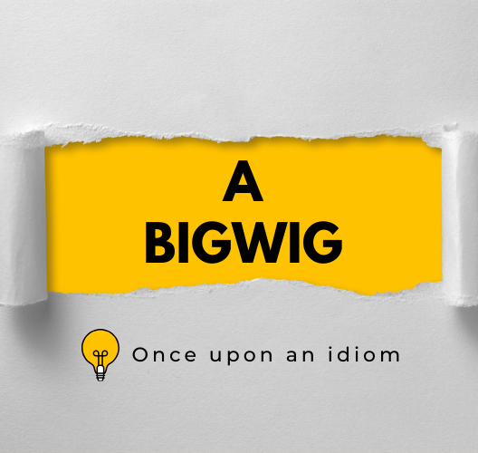 Nguồn Gốc Thành Ngữ A Bigwig Và Ví Dụ