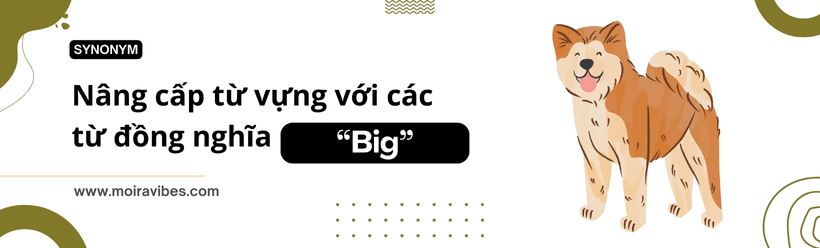 https://tienganhmoiravibes.com/tu-hoc/nang-cap-tu-vung-voi-cac-tu-dong-nghia-big/