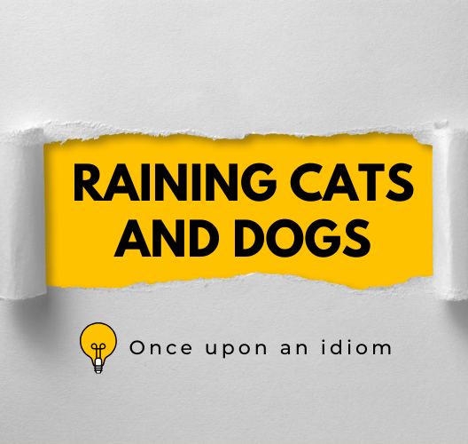 Thành Ngữ Raining Cats And Dogs Và Ví Dụ