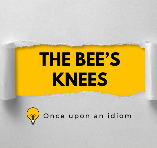 Nguồn Gốc Thành Ngữ The Bee’s Knees Và Ví Dụ