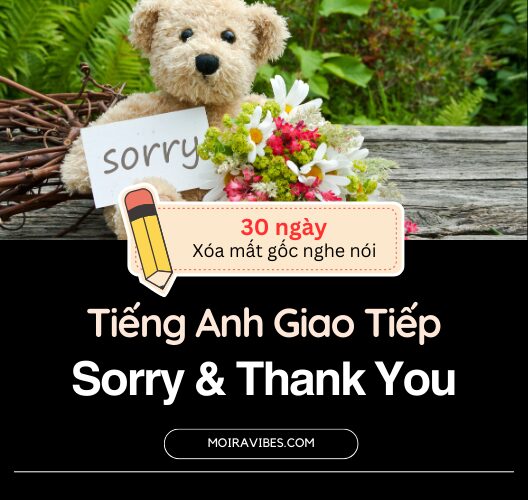 Tiếng Anh Xin Lỗi và Cảm Ơn – Sorry & Thank You