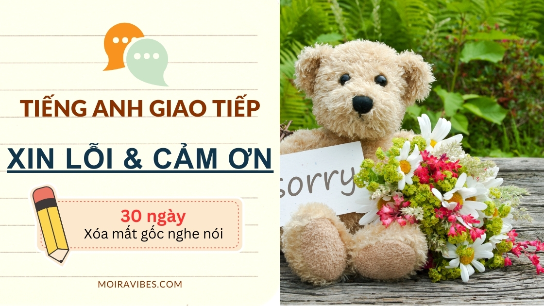 https://tienganhmoiravibes.com/tu-hoc/tieng-anh-giao-t…-sorry-thank-you/