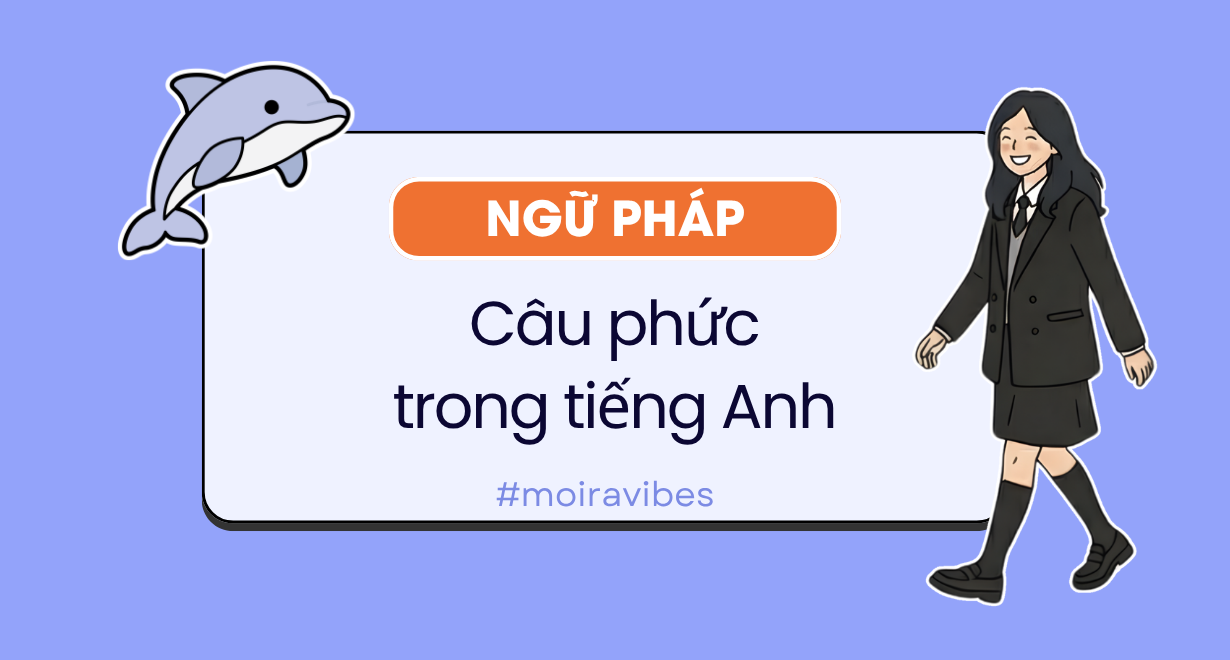 Câu phức trong tiếng Anh: định nghĩa, phân loại và cách dùng
